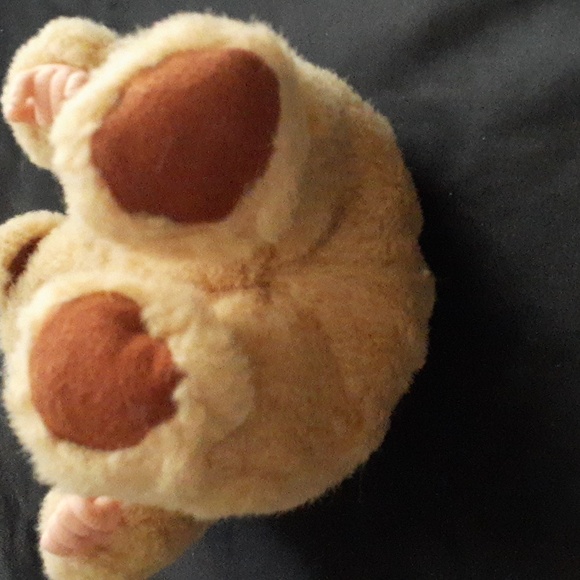 Anne Geddes Bear Baby 8" Toy - Picture 10 of 13
